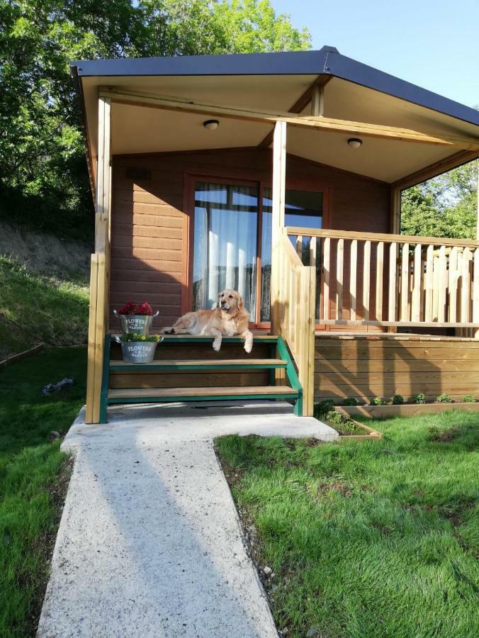 Panticosa Lodge מראה חיצוני תמונה